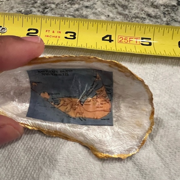 Nantucket Decorative Oyster Shells – Set of 3 with Gold Trim - Picture 11 of 14